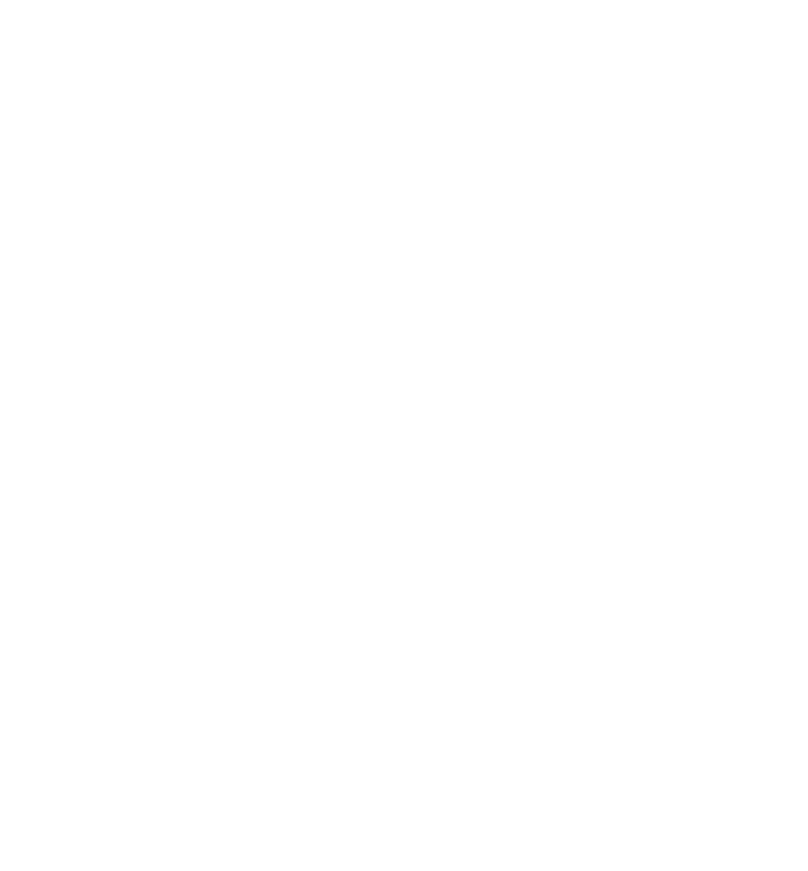 Stone Environmental